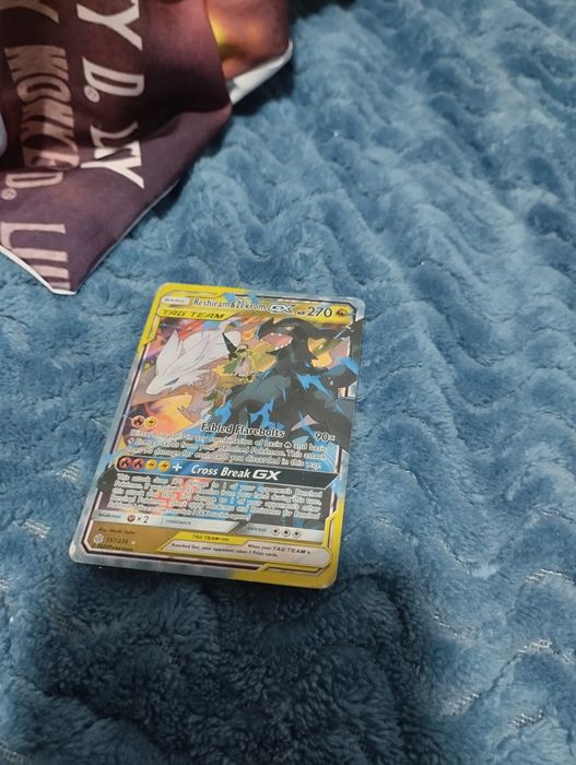 Reshiram & Charizard Reshiram & Zekrom64284868165251122