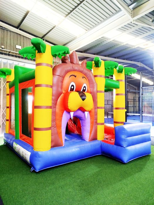 Aluguer de insufláveis, animação de festas, aniversários