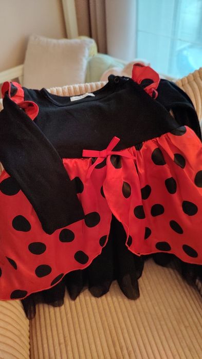 Strój biedronki na karnawał