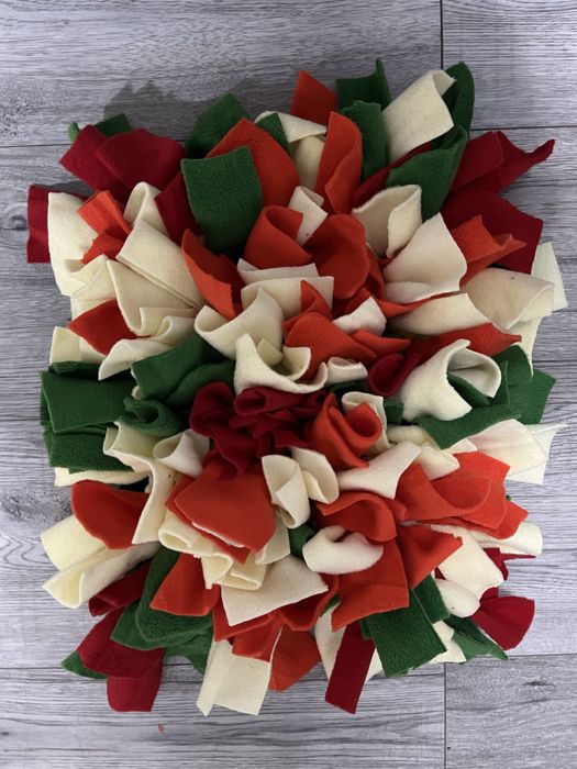 Mata węchowa dla psa kota