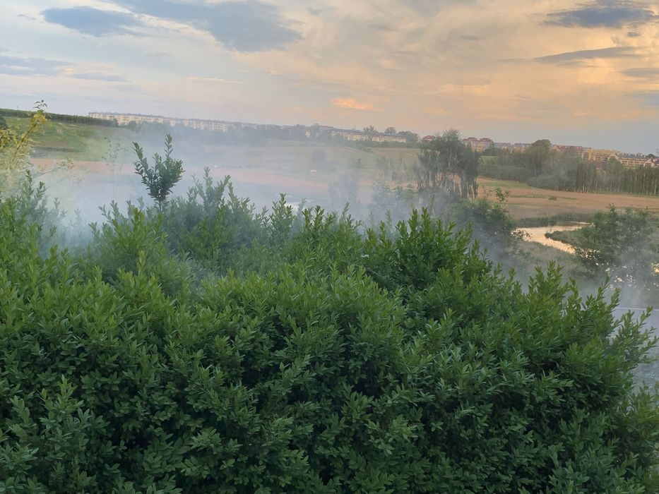 Zamglawiacz termiczny komary, kleszcze