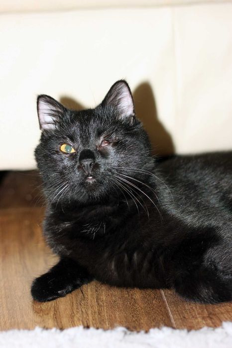 Milka szuka wspólnego domu z Milką! Fundacja "Stawiamy na Łapy"