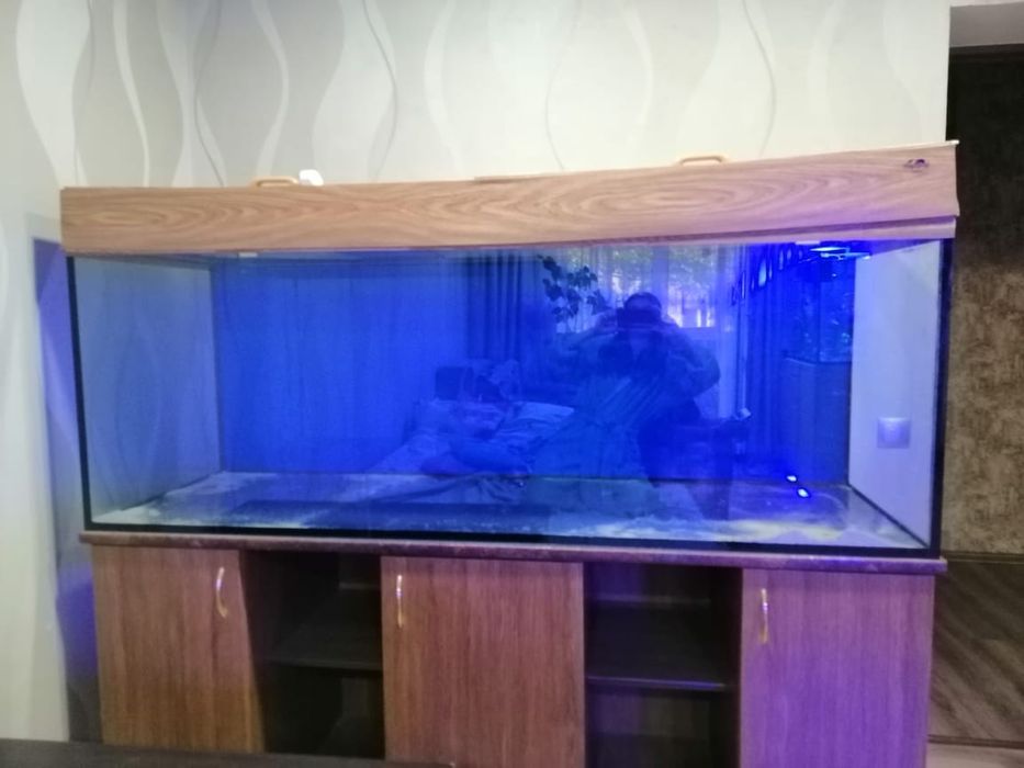 Терміново продам акваріум з тумбою
