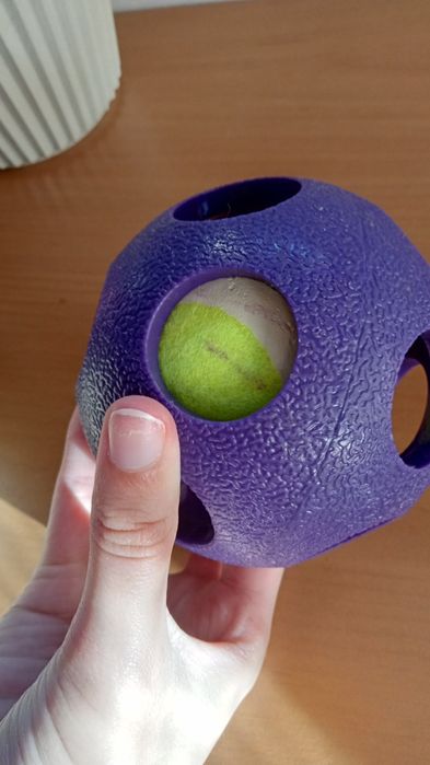 Bola para cão, artigo muito bom