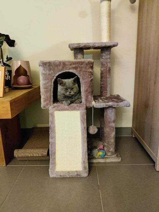 Drapak legowisko domek wysoki dla kota słupek do drapania NOWY 118 cm