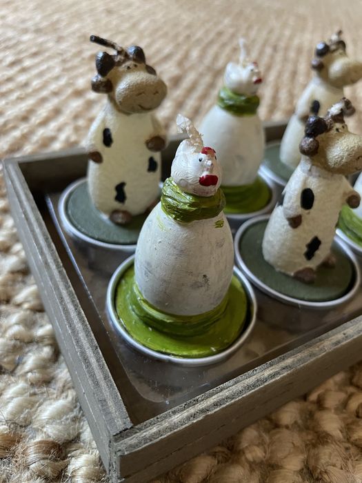 Caixa de velas animais