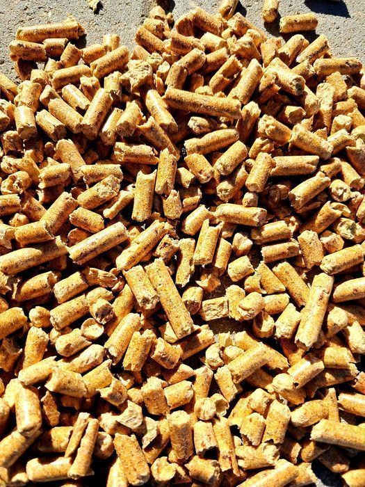Pellet Premium ENplus A1 – 100% Sosna | Producent DREWAR | Transport