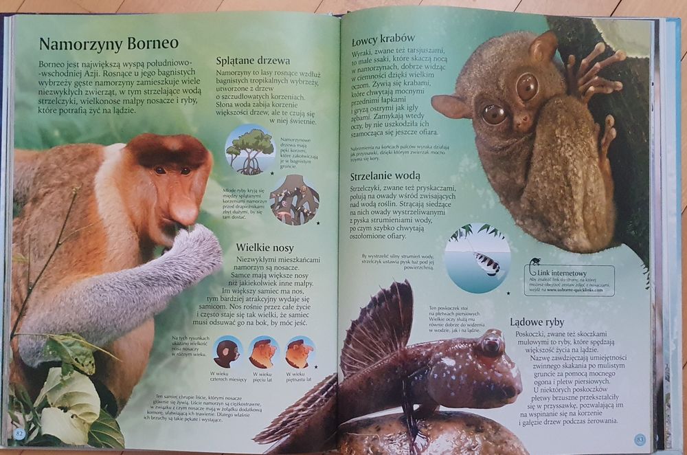 Zwierzęta świata. Davidson i Unwin.