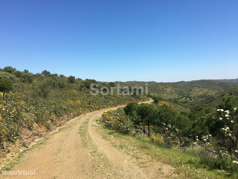 Terreno Rústico  Venda em Alcoutim e Pereiro,Alcoutim — Alcoutim E Pereiro, Faro