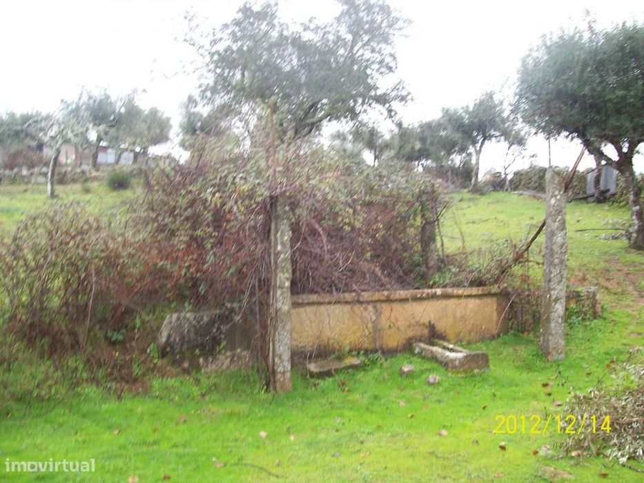Herdade do Monte da Pedra.