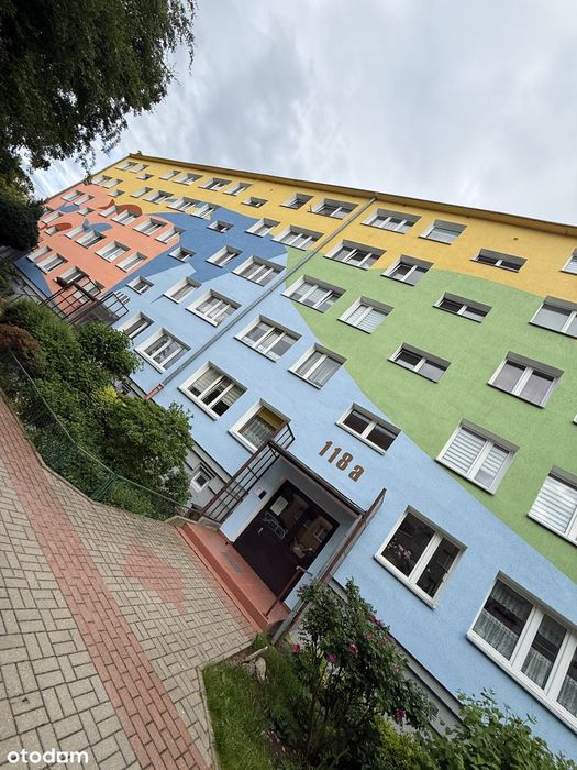Zdjęcie 2