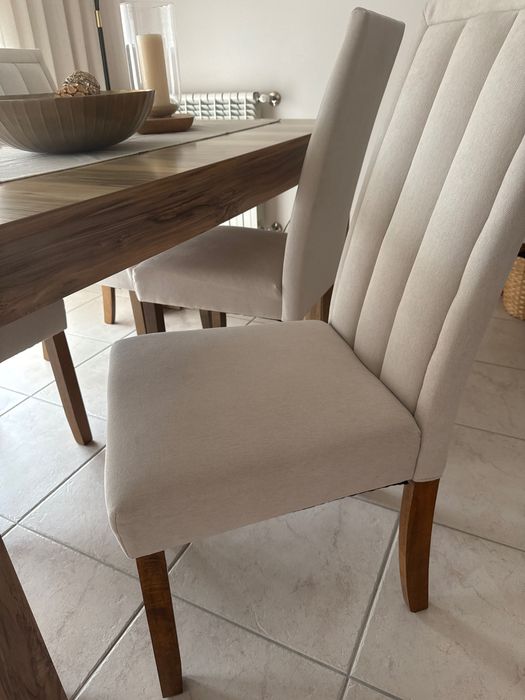 Conjunto mesa e cadeiras