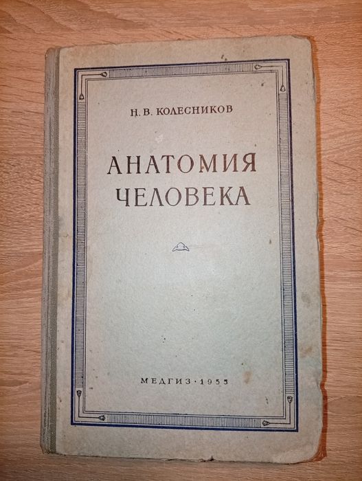 Н.В. Колесников. Анатомия человека