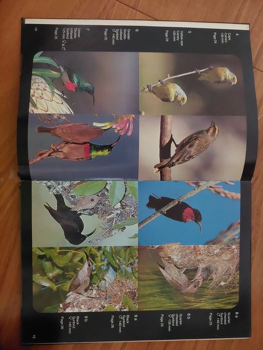 P. Ginn & G. McIlleron - Garden Birds of Southern Africa
