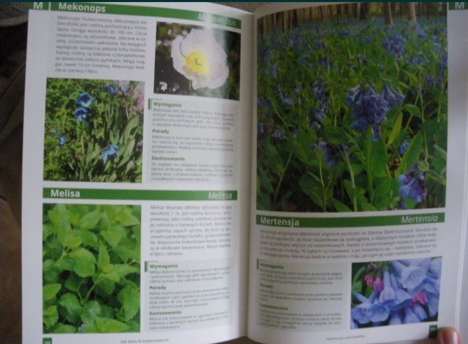 500 roślin ogrodowych. Agnieszka Gawłowska