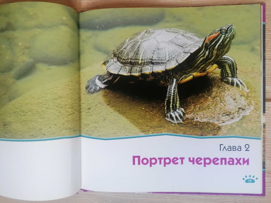Животный мир. Reader's Digest.(14книг) (сер. Первое знакомство).