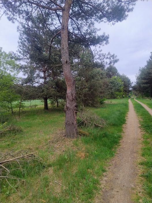 Sprzedam działki budowlane Wladyslawowo Nowe Miasto – pohled 2