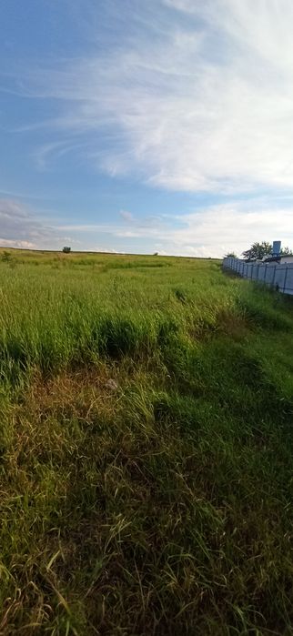 Продам земельну ділянку в Шкарівці