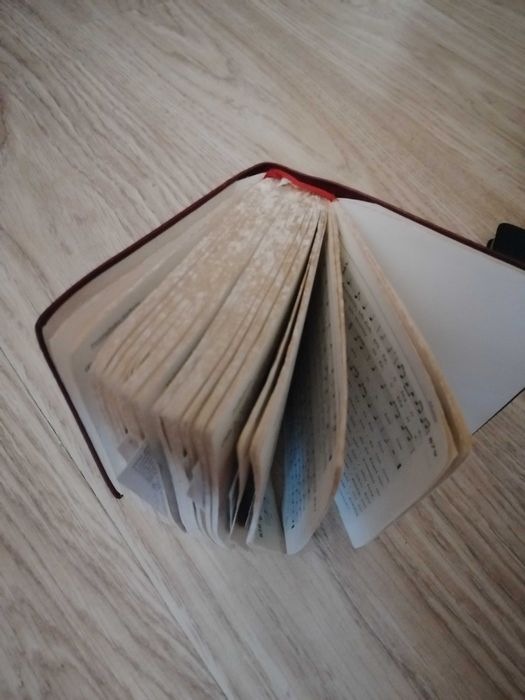 Gotteslob (с нем.  — «Хвала Богу») — немецкий литургический песенник,