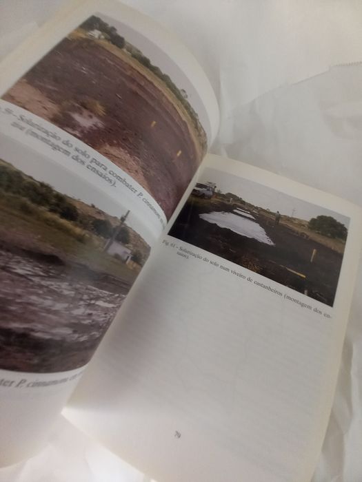 Manual de Sanidade de viveiros florestais