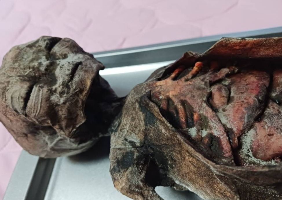 Figura Extraterrestre Autópsia