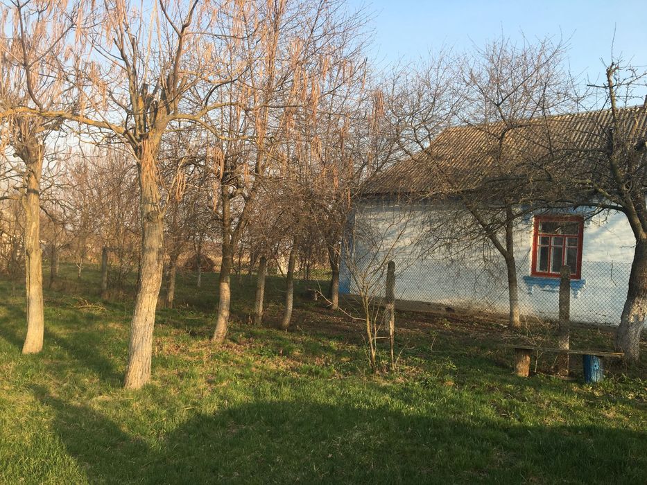 Будинок в черкаській області