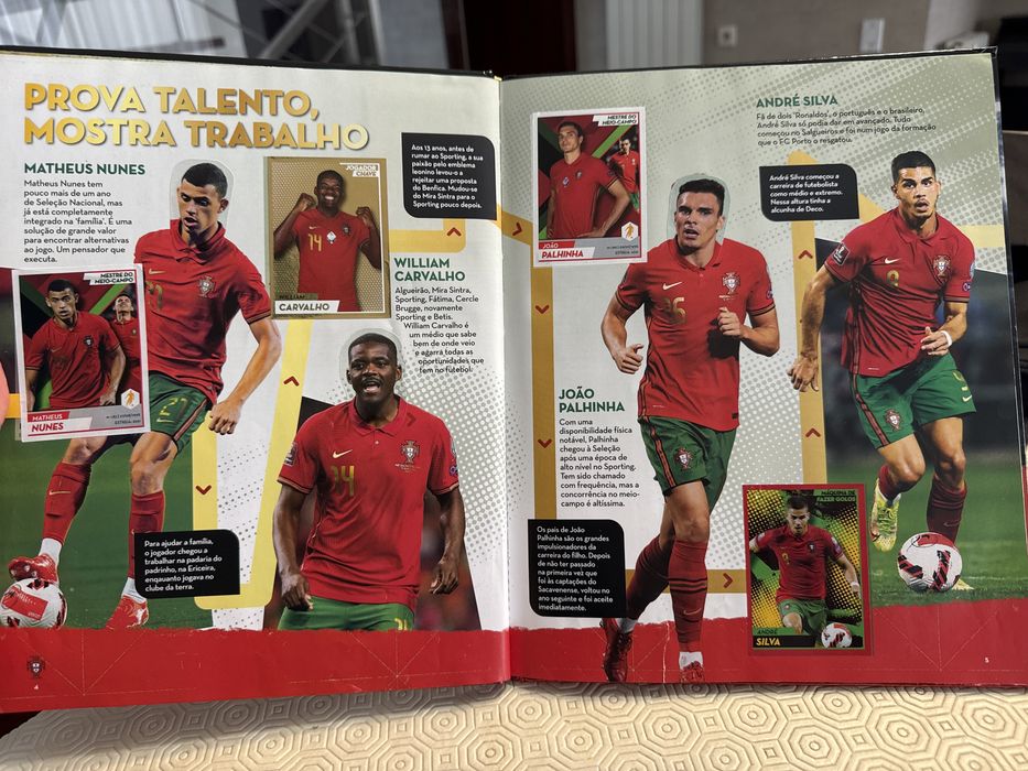 Caderneta Qatar 2022 - Panini Family