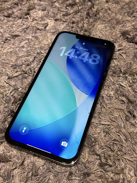 iPhone 13 Pro Max | 256GB