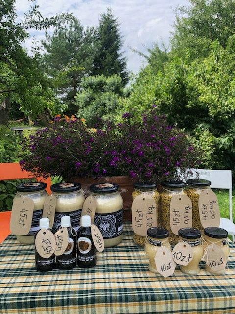 Propolis. Kit pszczeli.