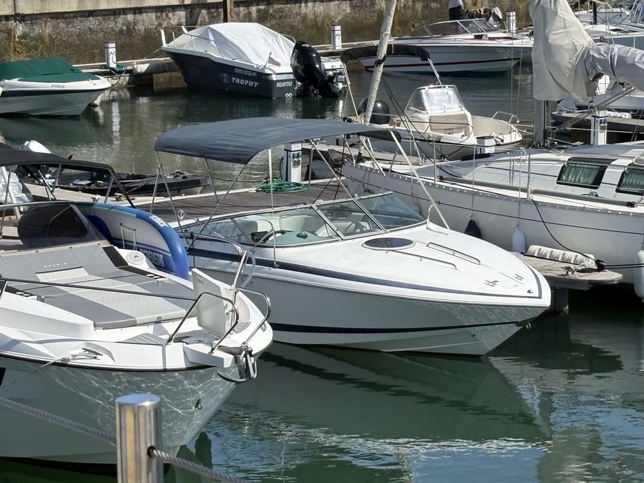 Navegue num Cobalt Marine 253