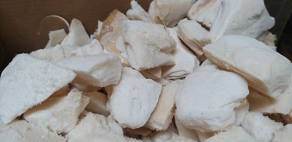 Osso de Choco aos quadrados.