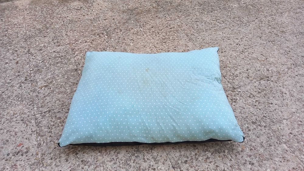 2 Colchões para animais