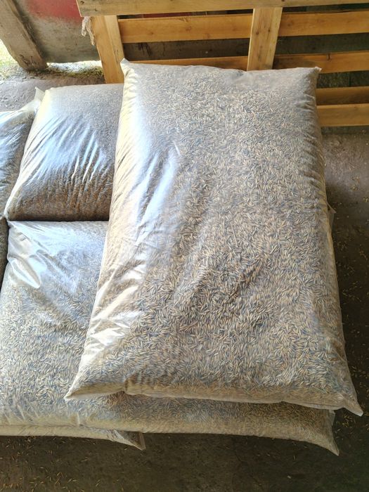 Sprzedam Owies Rodos (pellet)
