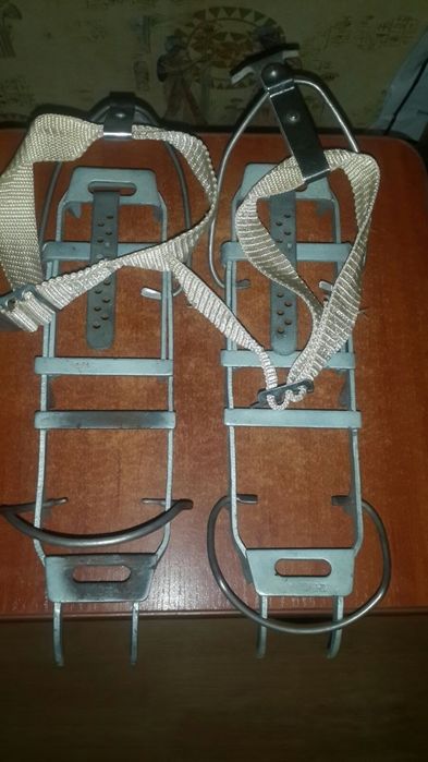 Примус шмель, луч