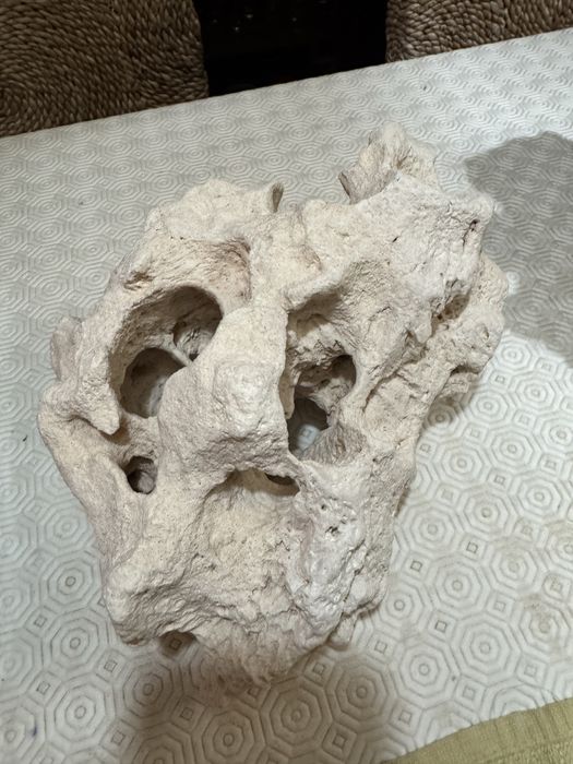 Rochas zanzibar aquario