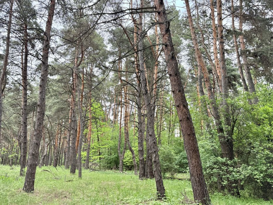 Земельні ділянки під садівництво! Вороньків!