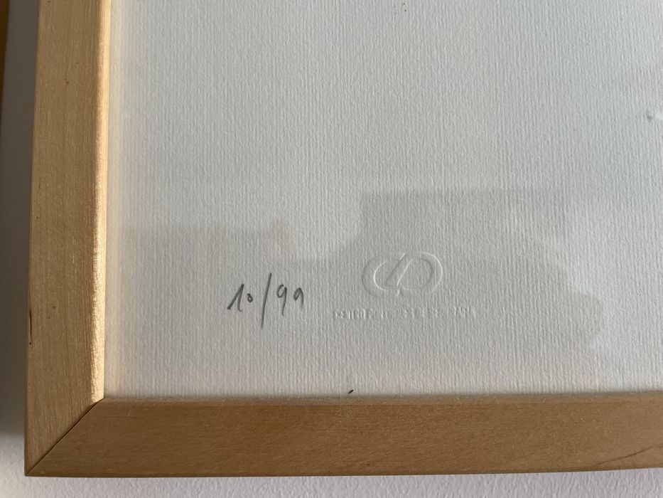 Serigrafia Simultâneos II João Prates