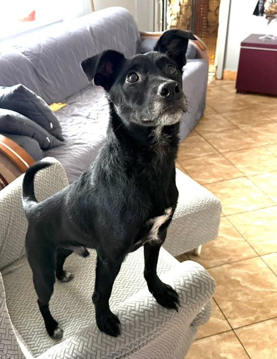 Kacper w poszukiwaniu domu na zawsze