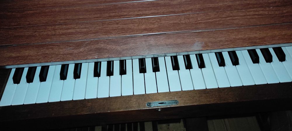 Órgão Elka 20 raro/antiquíssimo