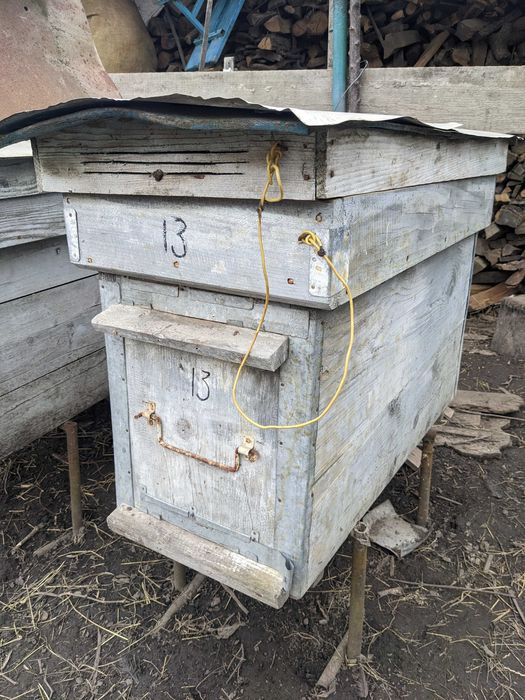 Вулики без бджіл