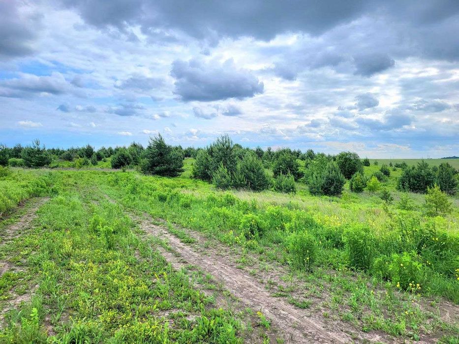 Ділянка 10.83 сотих. Рівне. Масив Східний