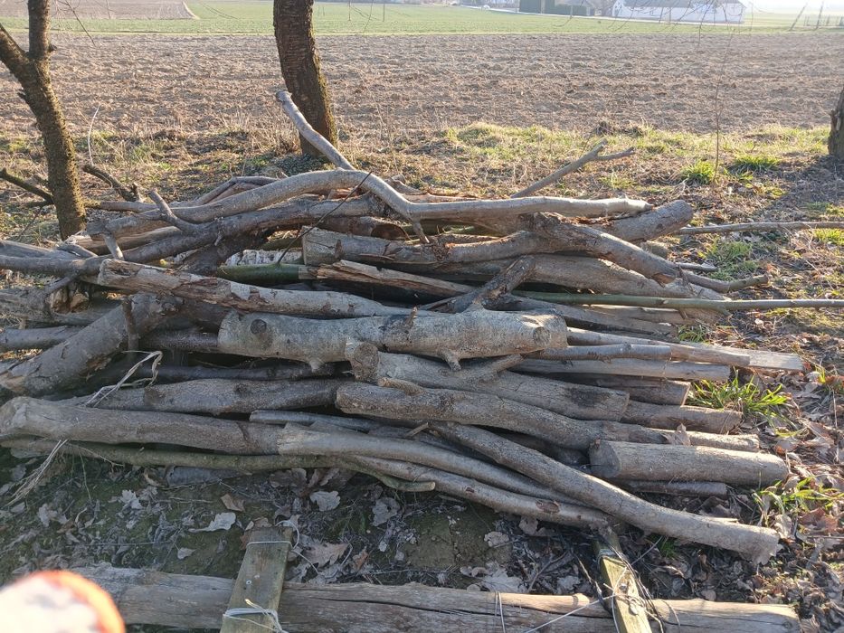 Gałęziówka, opał