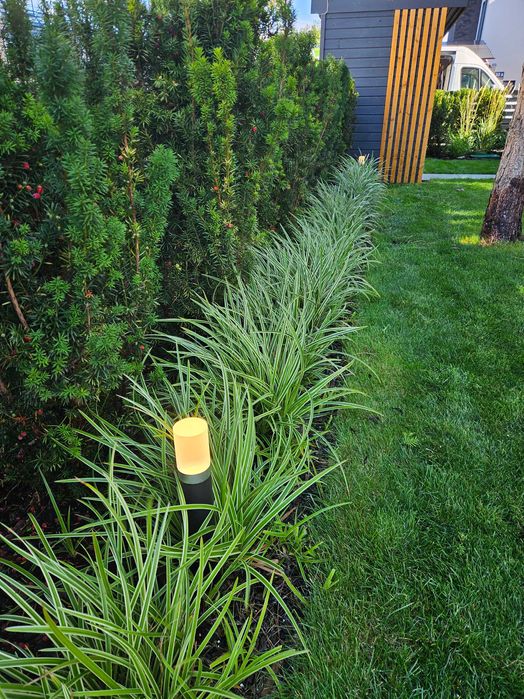 Usługi ogrodnicze | Zakładanie ogrodów