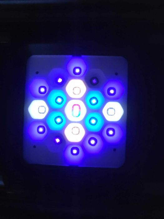 Lampa LED do akwarium morskiego Maxspect RSX 200