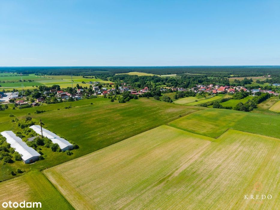 Działka budowlana 1,0036 ha | WZ | Duży potencjał inwest. | Koczała