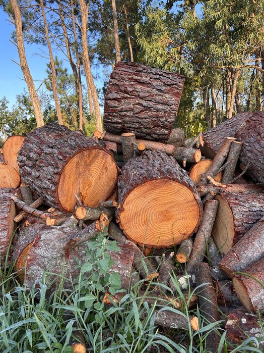 Vendo todo o tipo de lenha