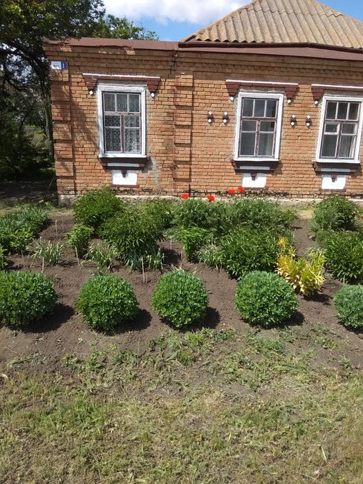 Продаж будинку з землею 70 соток