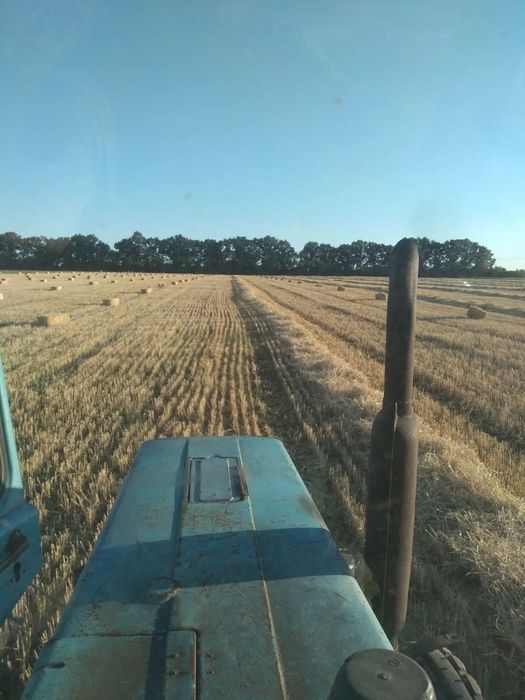 Солома в тюках 2025 року