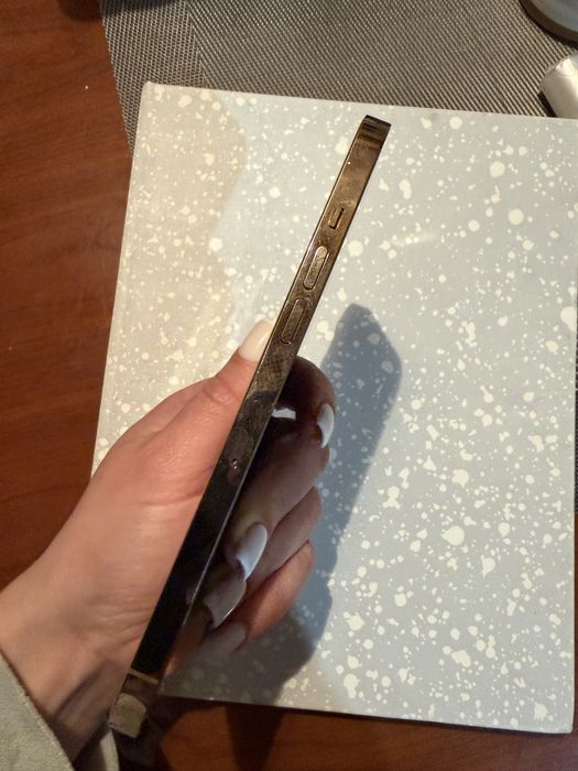 iPhone 12 Pro Max 256GB