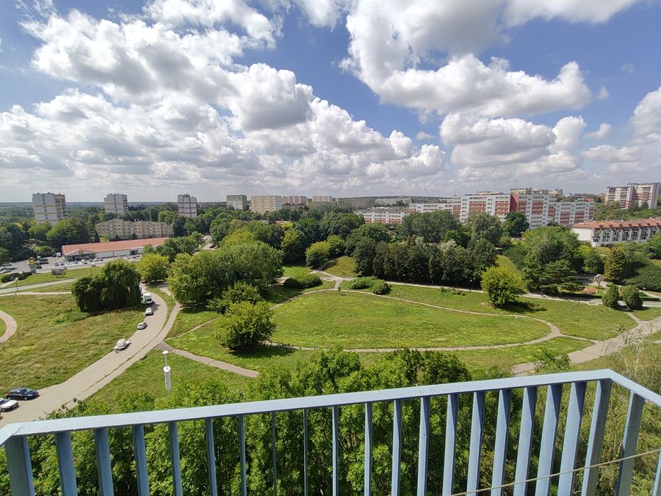 Zdjęcie 8